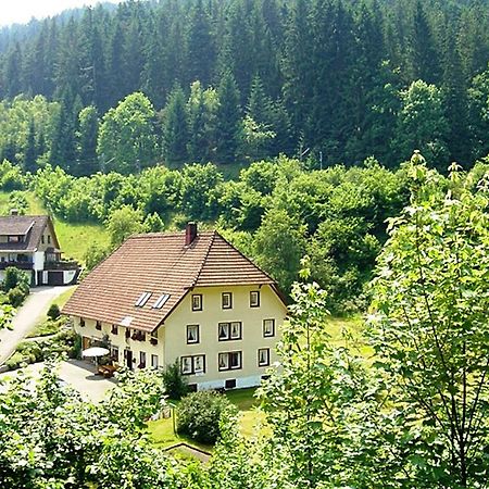 Country Style Flat With Garden Apartment Triberg im Schwarzwald Luaran gambar