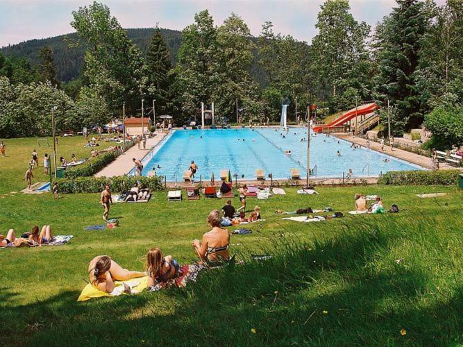 Country Style Flat With Garden Apartment Triberg im Schwarzwald Luaran gambar