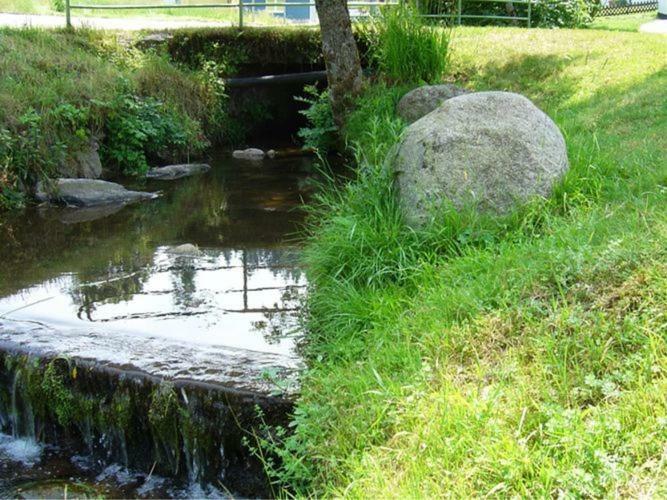 Country Style Flat With Garden Apartment Triberg im Schwarzwald Luaran gambar